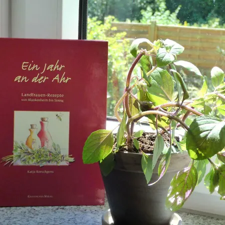Relaxen Im Weindorf