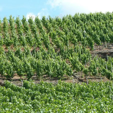 Relaxen Im Weindorf Hébergement de vacances Mayschoß