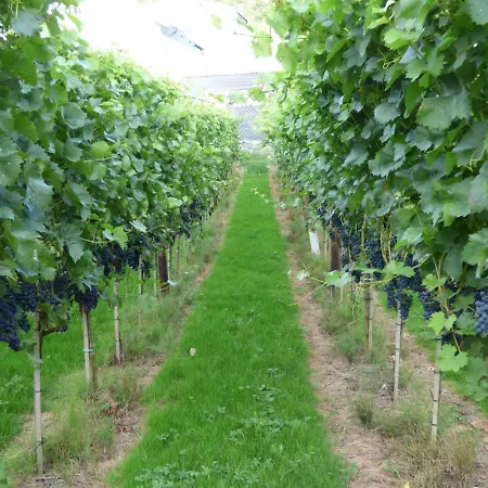 Relaxen Im Weindorf Hébergement de vacances Mayschoß